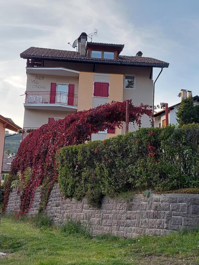 Bed & Breakfast Villa Maria Cavalese Buitenkant foto
